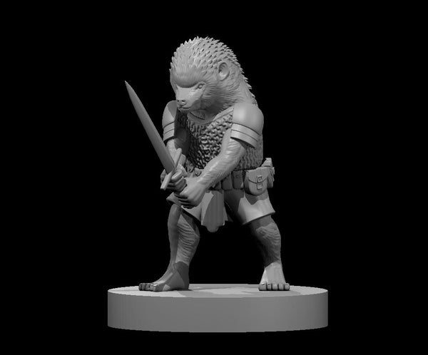 Erina Defender - DND - Pathfinder - Dungeons & Dragons - RPG - Tabletop - mz4250- Miniature-28mm-1"Scale