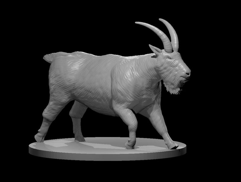 Giant Mountain Goat - DND - Pathfinder - Dungeons & Dragons - RPG - Tabletop - mz4250- Miniature-28mm-1"Scale