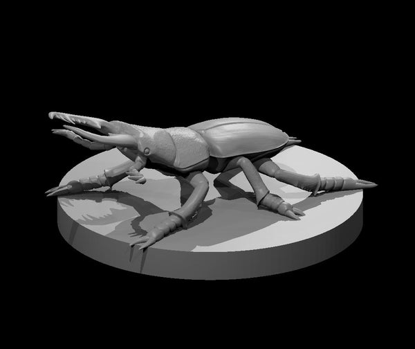 Giant Skag Beetle - DND - Pathfinder - Dungeons & Dragons - RPG - Tabletop - mz4250- Miniature-28mm-1"Scale