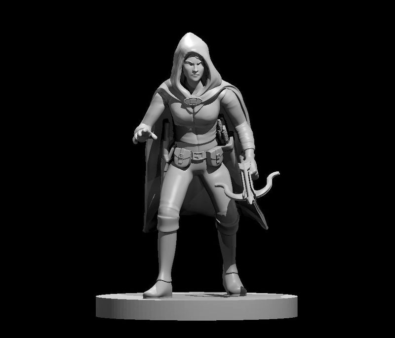 Half Elf Female Rouge 2 - DND - Pathfinder - Dungeons & Dragons - RPG - Tabletop - mz4250- Miniature-28mm-1"Scale