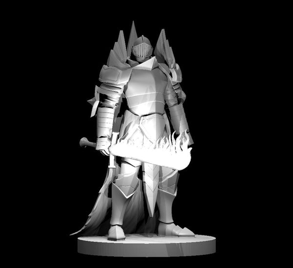 Human Male Paladin 2  - DND - Pathfinder - Dungeons & Dragons - RPG - Tabletop - mz4250- Miniature-28mm-1"Scale