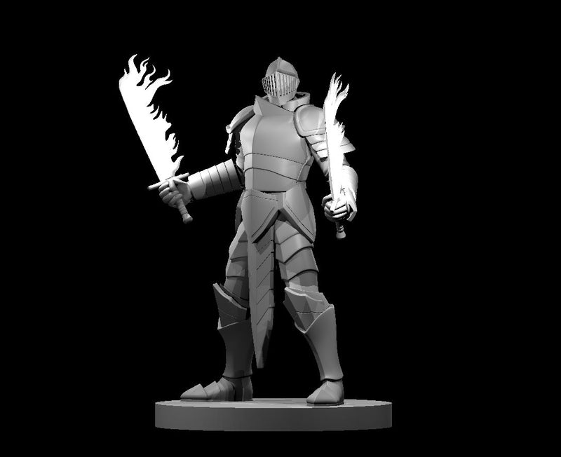 Human Male Paladin 2 W/2 Short Swords - DND - Pathfinder - Dungeons & Dragons - RPG - Tabletop - mz4250- Miniature-28mm-1"Scale