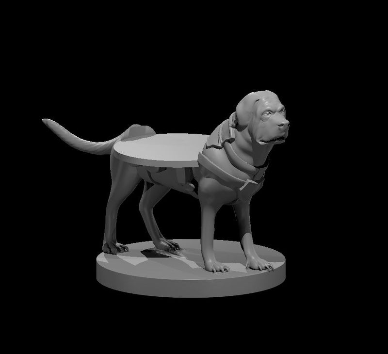 Mastiff Mount W/Mini Mount - DND - Pathfinder - Dungeons & Dragons - RPG - Tabletop - mz4250- Miniature-28mm-1"Scale