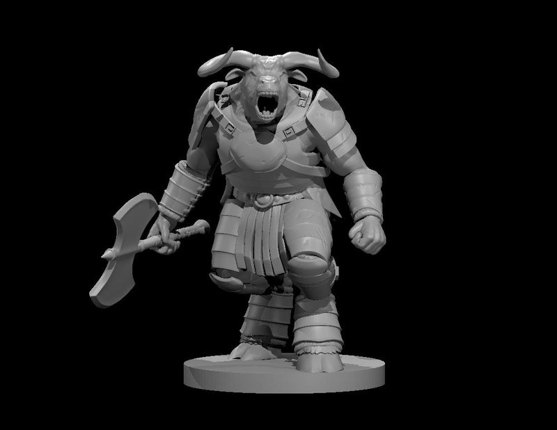 Minotaur Pack - DND - Pathfinder - Dungeons & Dragons - RPG - Tabletop - mz4250- Miniature-28mm-1"Scale