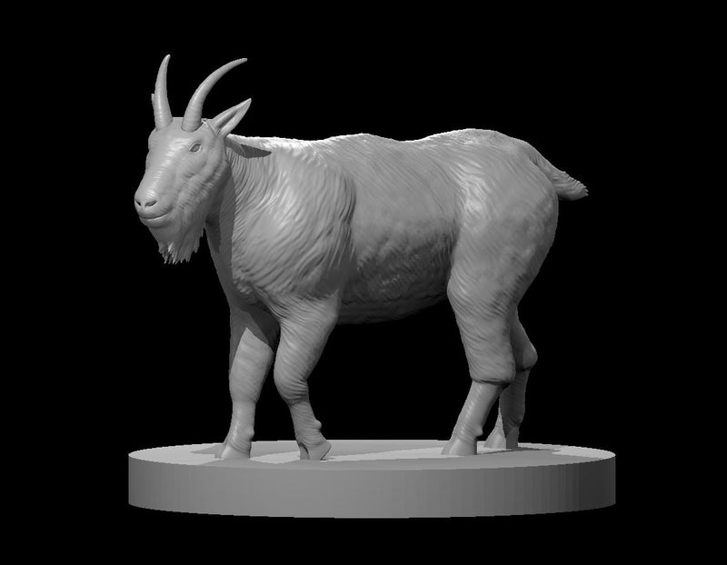 Mountain Goat - DND - Pathfinder - Dungeons & Dragons - RPG - Tabletop - mz4250- Miniature-28mm-1"Scale