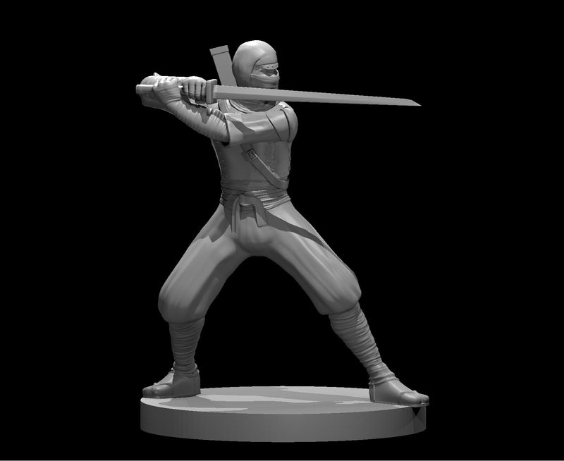 Ninjas - DND - Pathfinder - Dungeons & Dragons - RPG - Tabletop - mz4250- Miniature-28mm-1"Scale