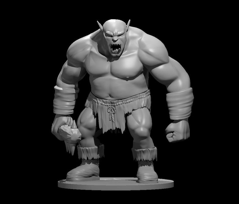 Ogre 3 - DND - Pathfinder - Dungeons & Dragons - RPG - Tabletop - mz4250- Miniature-28mm-1"Scale