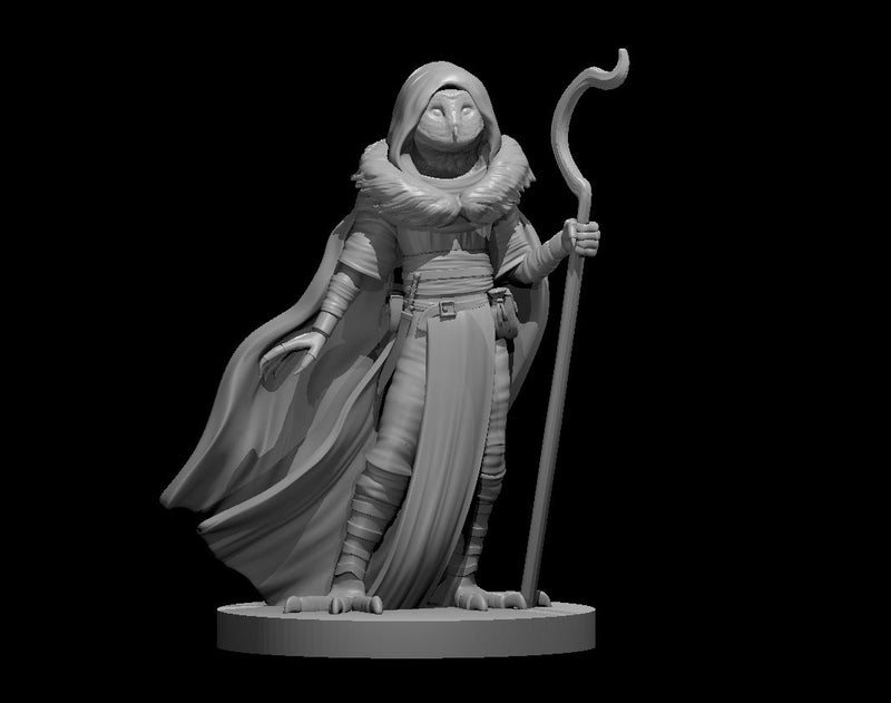 Owlfolk Druid - DND - Pathfinder - Dungeons & Dragons - RPG - Tabletop - mz4250- Miniature-28mm-1"Scale