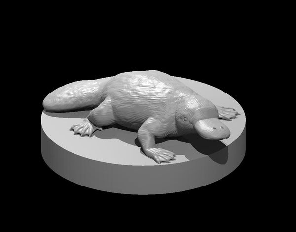 Platypus - DND - Pathfinder - Dungeons & Dragons - RPG - Tabletop - mz4250- Miniature-28mm-1"Scale