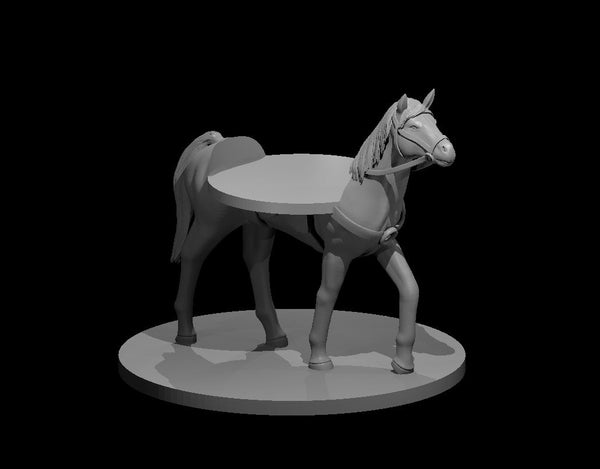 Riding Horse W/Mini Slot- DND - Pathfinder - Dungeons & Dragons - RPG - Tabletop - mz4250- Miniature-28mm-1"Scale