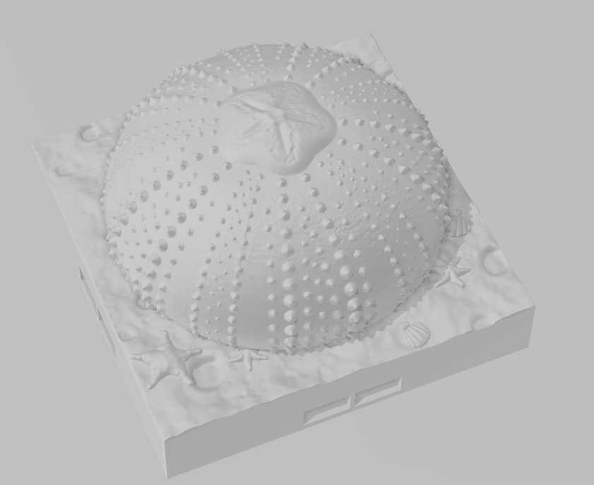 Seabed Floors Part 2 - Pathfinder - Dungeons & Dragons - RPG - Tabletop -Terrain - 28 mm / 1"- Aether Studios