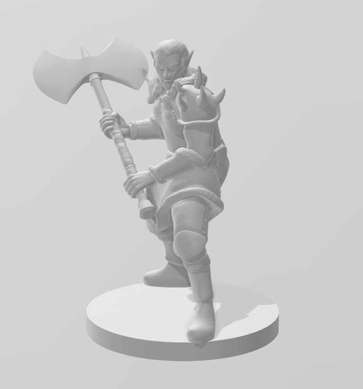 Elf Male Barbarian - DND - Pathfinder - Dungeons & Dragons - RPG - Tabletop - mz4250- Miniature-28mm-1"Scale