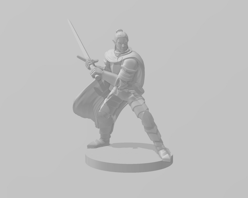 Elf Male Paladin - DND - Pathfinder - Dungeons & Dragons - RPG - Tabletop - mz4250- Miniature-28mm-1"Scale