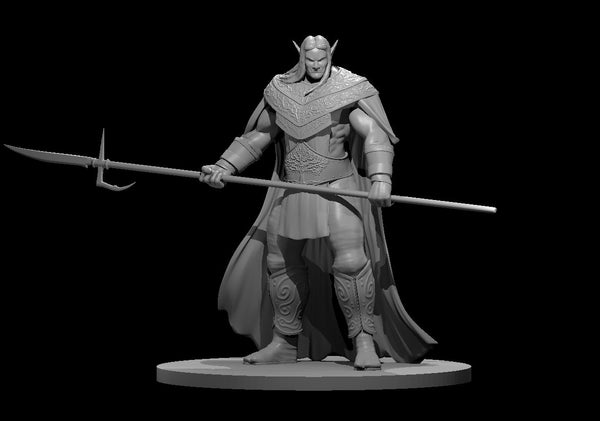 Shadow Fey Elf Guardian- DND - Pathfinder - Dungeons & Dragons - RPG - Tabletop - mz4250- Miniature-28mm-1"Scale