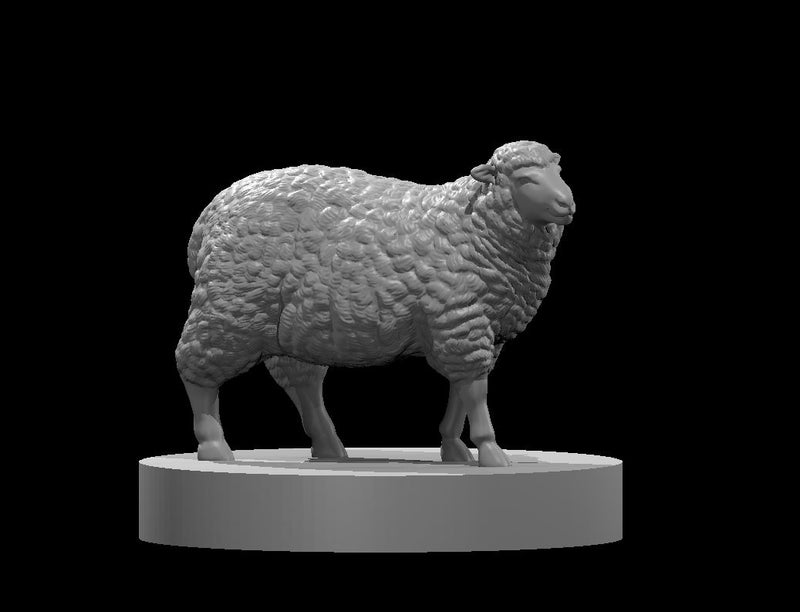 Sheep - DND - Pathfinder - Dungeons & Dragons - RPG - Tabletop - mz4250- Miniature-28mm-1"Scale