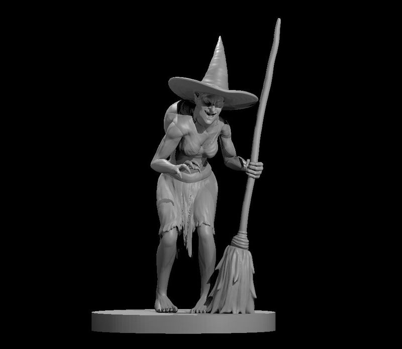 Witches - DND - Pathfinder - Dungeons & Dragons - RPG - Tabletop - mz4250- Miniature-28mm-1"Scale