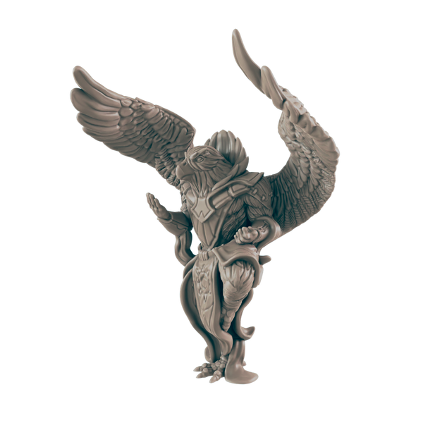 Birdkin Male Monk - Everyday Heroes - Minis - EC3D - - Dungeons & Dragons - RPG - Tabletop - EC3D - Miniature