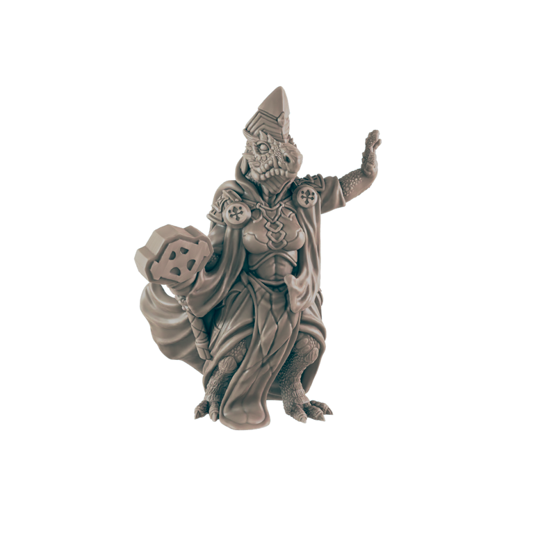 Cleric Dragonkin Female - Everyday Heroes - Minis - EC3D - - Dungeons & Dragons - RPG - Tabletop - EC3D - Miniature