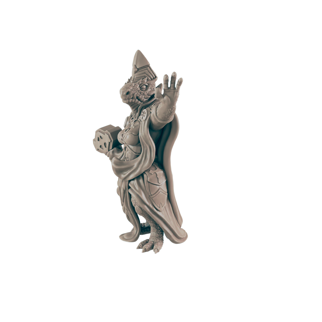 Cleric Dragonkin Female - Everyday Heroes - Minis - EC3D - - Dungeons & Dragons - RPG - Tabletop - EC3D - Miniature