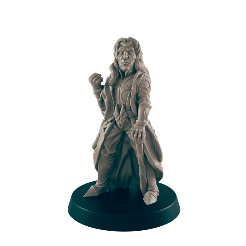 Elf Male Noble - Everyday Folk - Minis - EC3D - - Dungeons & Dragons - RPG - Tabletop - EC3D - Miniature