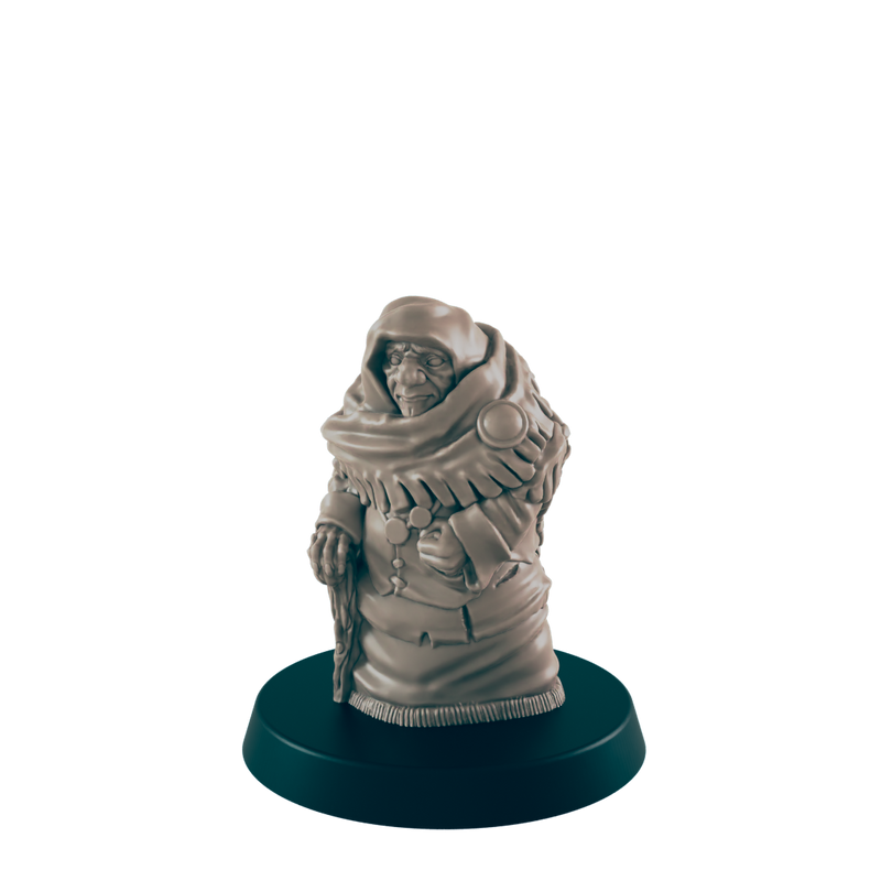 Human Woman Grandmother - Everyday Folk - Minis - EC3D - - Dungeons & Dragons - RPG - Tabletop - EC3D - Miniature