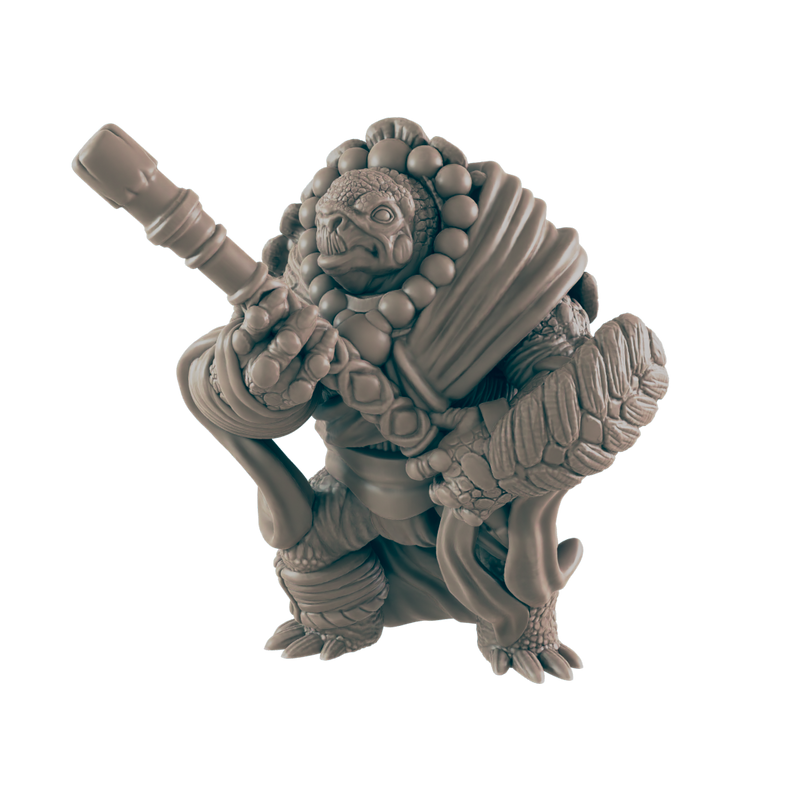 Turtlekin Monk Male - Everyday Heroes - Minis - EC3D - - Dungeons & Dragons - RPG - Tabletop - EC3D - Miniature