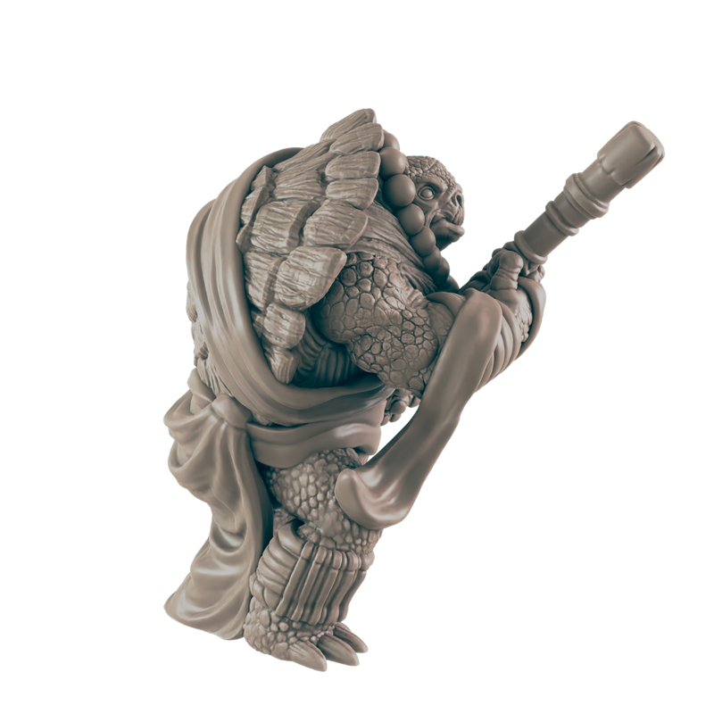 Turtlekin Monk Male - Everyday Heroes - Minis - EC3D - - Dungeons & Dragons - RPG - Tabletop - EC3D - Miniature