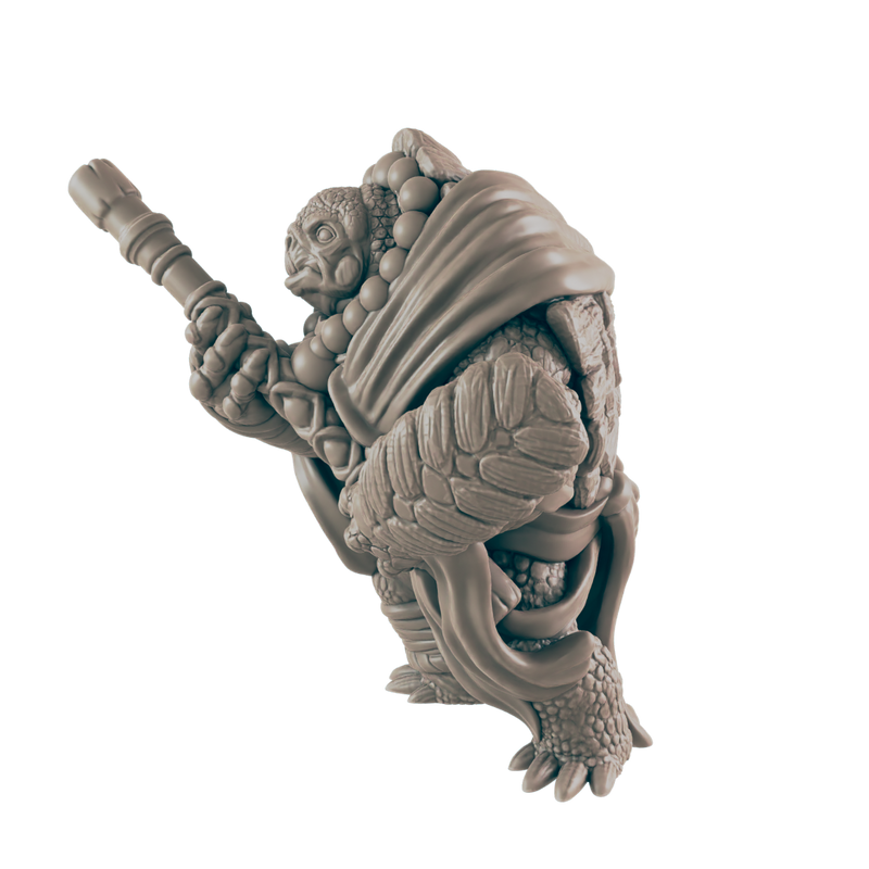 Turtlekin Monk Male - Everyday Heroes - Minis - EC3D - - Dungeons & Dragons - RPG - Tabletop - EC3D - Miniature