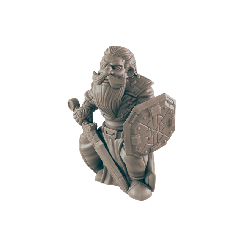 Paladin Dwarf Male - Everyday Heroes - Minis - EC3D - - Dungeons & Dragons - RPG - Tabletop - EC3D - Miniature