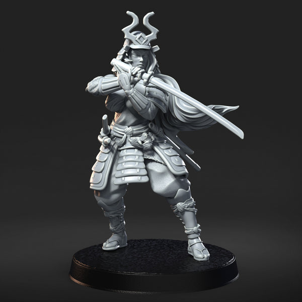 Pinnacle State Nihon Minis - DND - Pathfinder - Dungeons & Dragons - RPG - Tabletop - RN Studios - Miniature-28mm-1"Scale