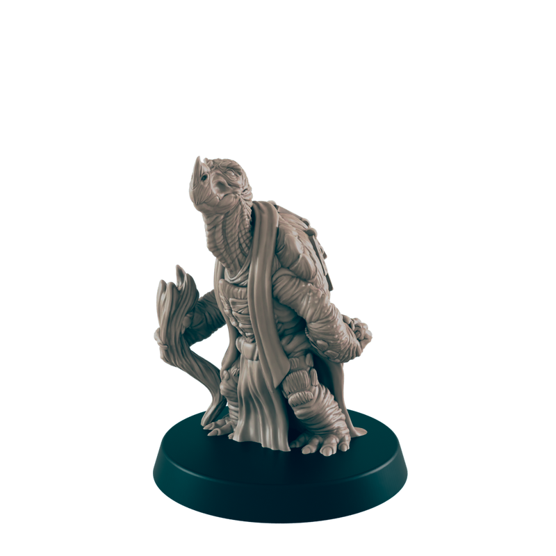 Turtlefolk Old Sage - Everyday Folk - Mini - EC3D - - Dungeons & Dragons - RPG - Tabletop - EC3D - Miniature