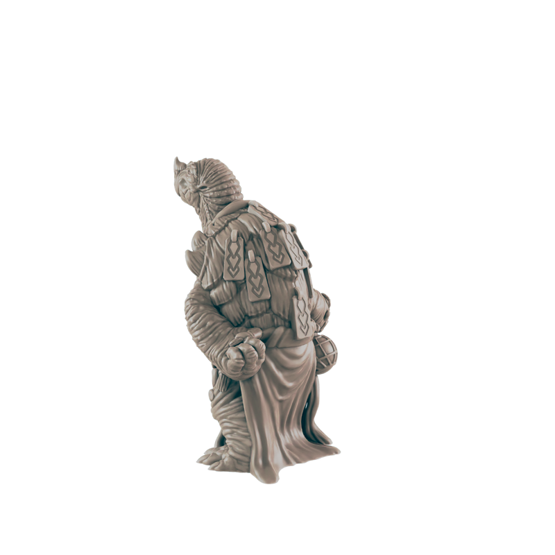 Turtlefolk Old Sage - Everyday Folk - Mini - EC3D - - Dungeons & Dragons - RPG - Tabletop - EC3D - Miniature