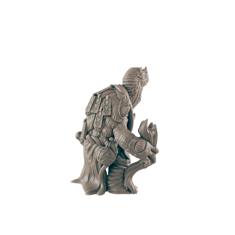 Turtlefolk Old Sage - Everyday Folk - Mini - EC3D - - Dungeons & Dragons - RPG - Tabletop - EC3D - Miniature