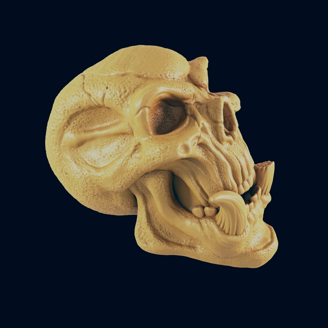 Troll Skull - Obliegs - Items - EC3D - Fantasy RPG