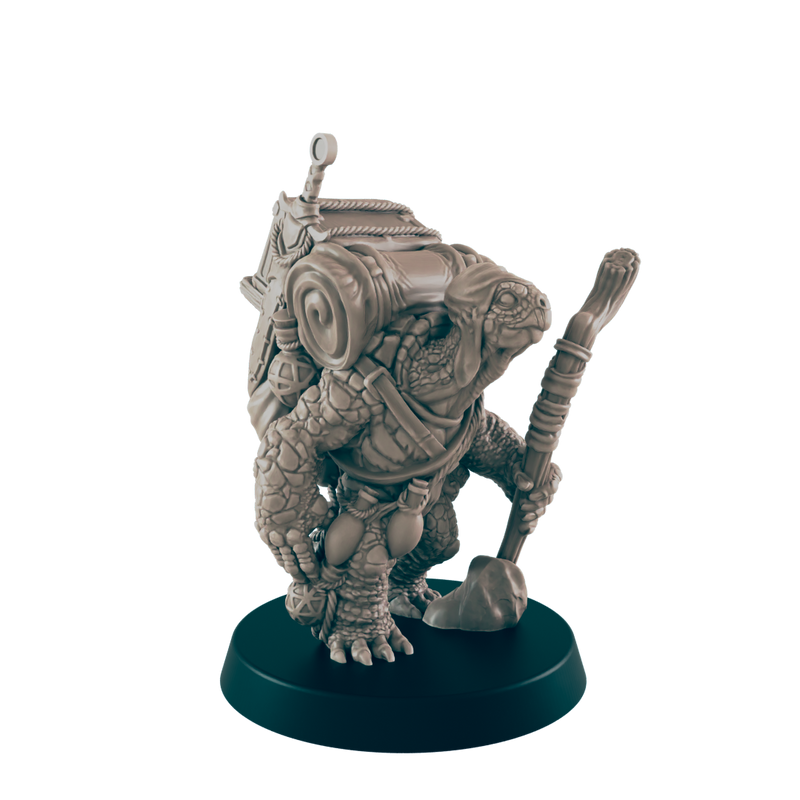 Turtlefolk Old Wanderer- Everyday Folk - Minis - EC3D - - Dungeons & Dragons - RPG - Tabletop - EC3D - Miniature