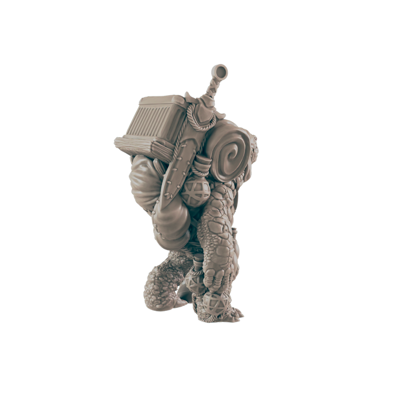 Turtlefolk Old Wanderer- Everyday Folk - Minis - EC3D - - Dungeons & Dragons - RPG - Tabletop - EC3D - Miniature