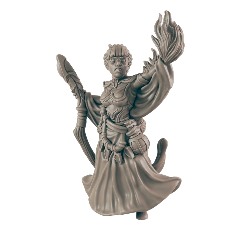 Wizard Halfelf Female - Everyday Heroes - Minis - EC3D - - Dungeons & Dragons - RPG - Tabletop - EC3D - Miniature