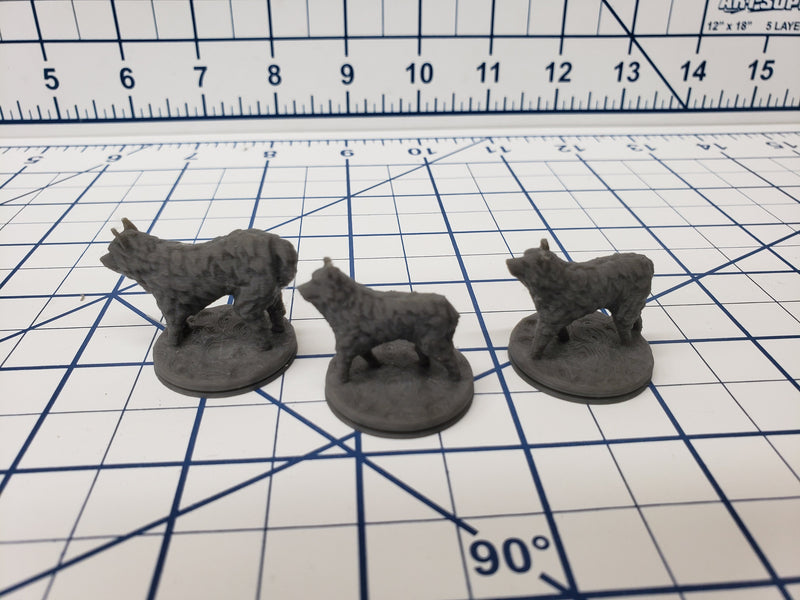 The Wilds of Wintertide - Set of Sled Dogs Minis - Hero's Hoard - DND - Pathfinder - Dungeons & Dragons - RPG - Tabletop - EC3D - Miniature