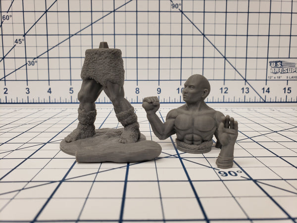 Hill Giant - DND - Pathfinder - RPG - Dungeon & Dragons - Miniature - Mini - 28 mm / 1" - Fat Dragon Games