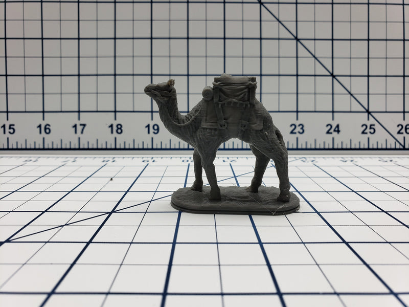 Empire of Scorching Sands - Camel Minis - DND - Pathfinder - Dungeons & Dragons - RPG - Tabletop - EC3D - Miniature - 28 mm