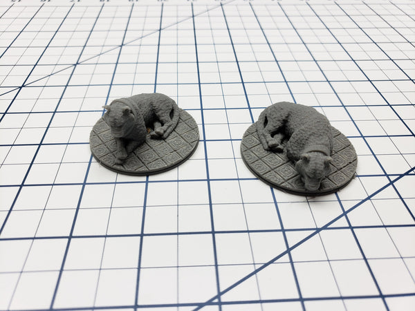Empire of Scorching Sands - Set of 2 Tiger Minis - DND - Pathfinder - Dungeons & Dragons - RPG - Tabletop - EC3D - Miniature - 28 mm