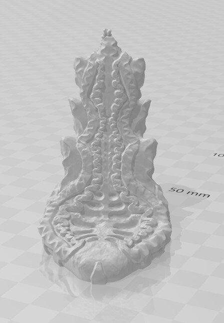 Council Rooms and Columns - Atlantean Ruins - Savage Atoll - DND - Dungeons & Dragons - RPG - Tabletop - EC3D - Miniature - 28 mm - 1" scale