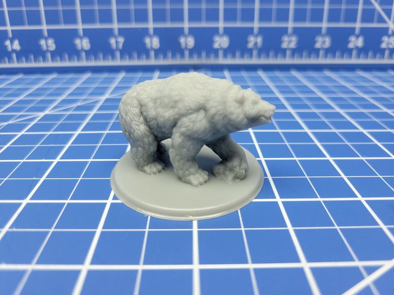 Bear - Minis - Beasts and Badies - Hero's Hoard - DND - Pathfinder - Dungeons & Dragons - RPG - Tabletop - EC3D - Miniature