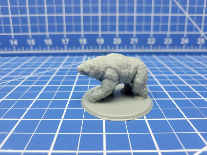 Bear - Minis - Beasts and Badies - Hero's Hoard - DND - Pathfinder - Dungeons & Dragons - RPG - Tabletop - EC3D - Miniature