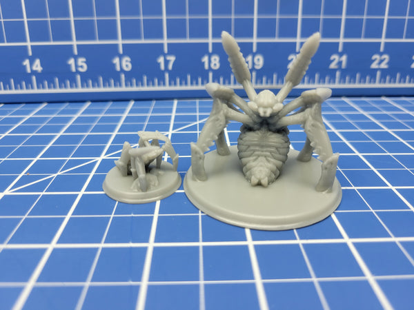 Giant Spider - Minis - Beasts and Badies - Hero's Hoard - DND - Pathfinder - Dungeons & Dragons - RPG - Tabletop - EC3D - Miniature