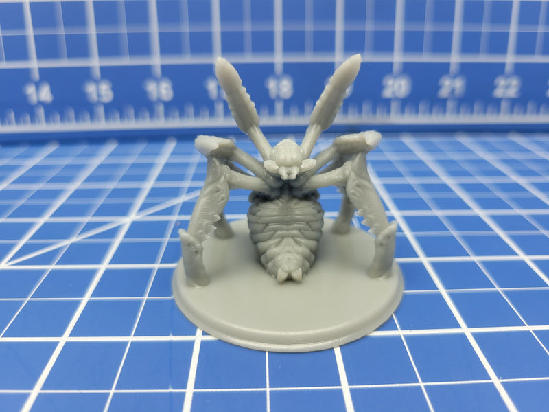 Giant Spider - Minis - Beasts and Badies - Hero's Hoard - DND - Pathfinder - Dungeons & Dragons - RPG - Tabletop - EC3D - Miniature