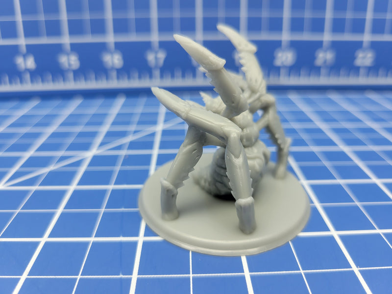 Giant Spider - Minis - Beasts and Badies - Hero's Hoard - DND - Pathfinder - Dungeons & Dragons - RPG - Tabletop - EC3D - Miniature