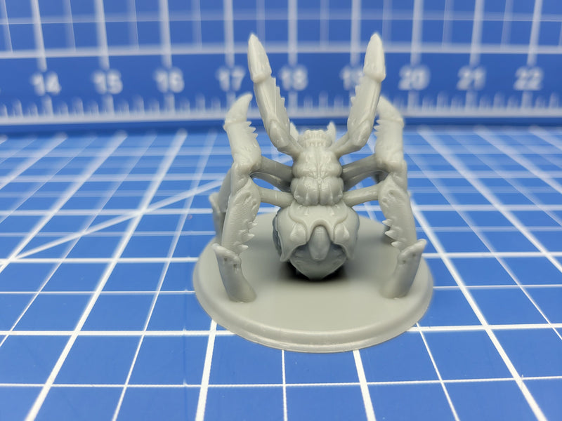 Giant Spider - Minis - Beasts and Badies - Hero's Hoard - DND - Pathfinder - Dungeons & Dragons - RPG - Tabletop - EC3D - Miniature