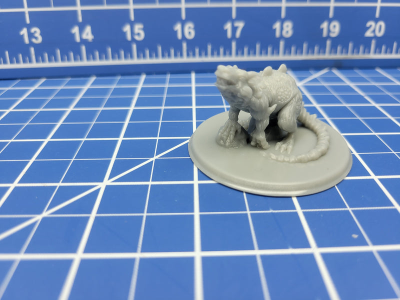 Giant Rat - Minis - Beasts and Badies - Hero's Hoard - DND - Pathfinder - Dungeons & Dragons - RPG - Tabletop - EC3D - Miniature