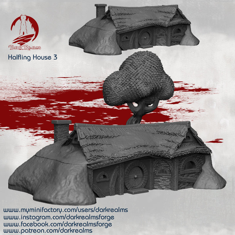 House 3 - DND - Dungeons & Dragons - RPG - Pathfinder - Tabletop - TTRPG - Halfling Village - Dark Realms - 28 mm